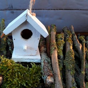 Photo of a wooden birdhouse